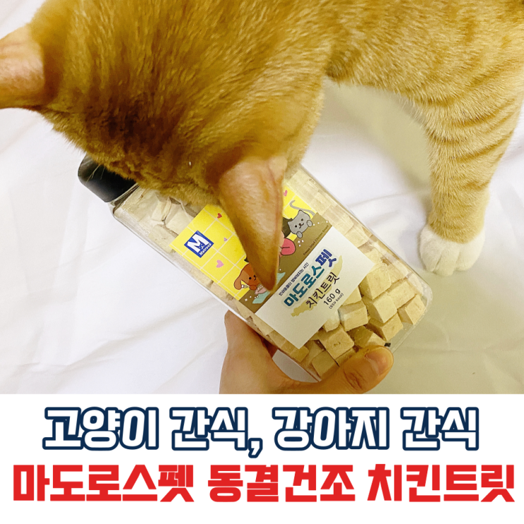 [냥품멍품/내돈내산] 고양이, 강아지 간식 / 마도로스펫 치킨 트릿