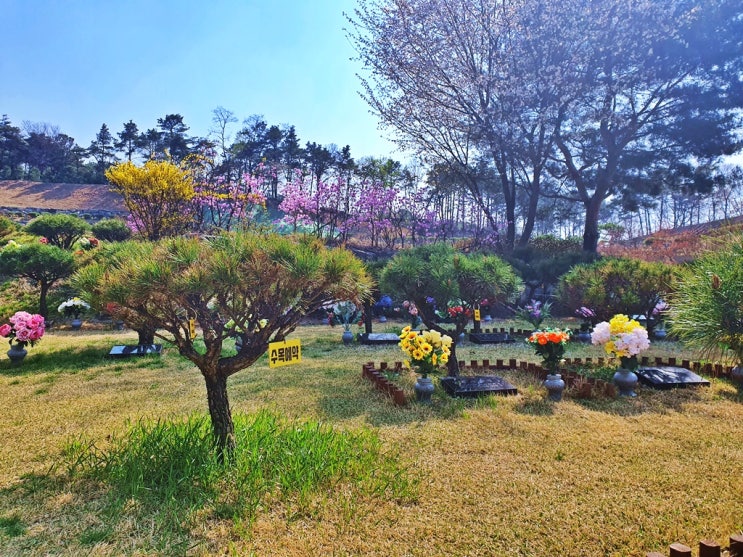  용인수목장 부담 낮출 3가지 팁