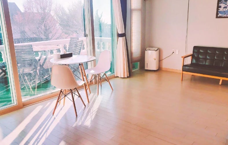 라벤더스 사진 4