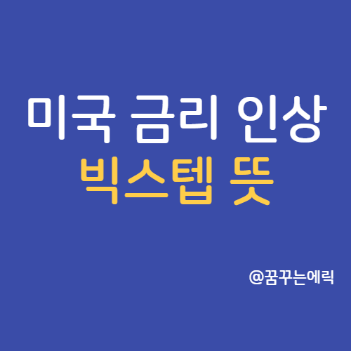 빅스텝 뜻 미국 금리 0.5% 인상 언급