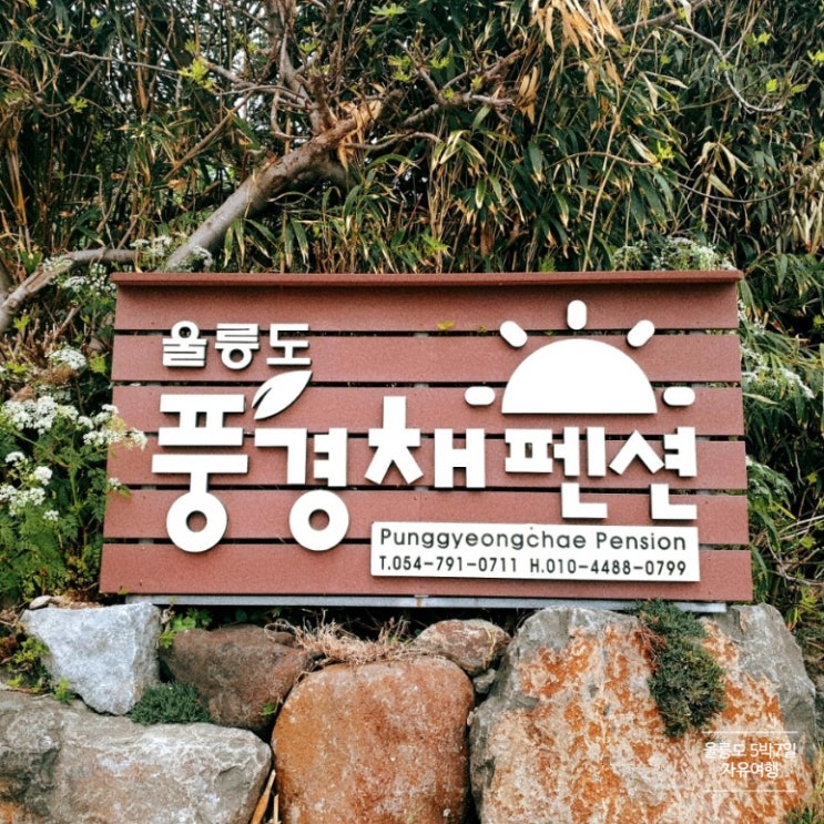  자유여행 울릉도숙소 풍경채펜션(꽃무늬 벽지 아님)
