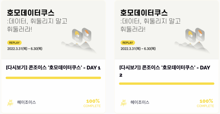  내돈내산 헤이조이스 호모데이터쿠스 리뷰