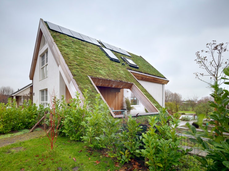 잔디 흙 지붕 주택 잔디지붕 집짓기 네츄럴 루프 그린 그래스 하우스