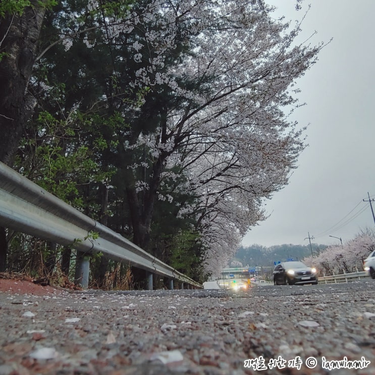 2022. 04.11 ~ 20 기록 2022. 04.11 ~ 20 기록
