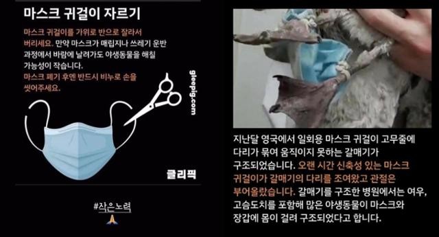  지구야 미안해