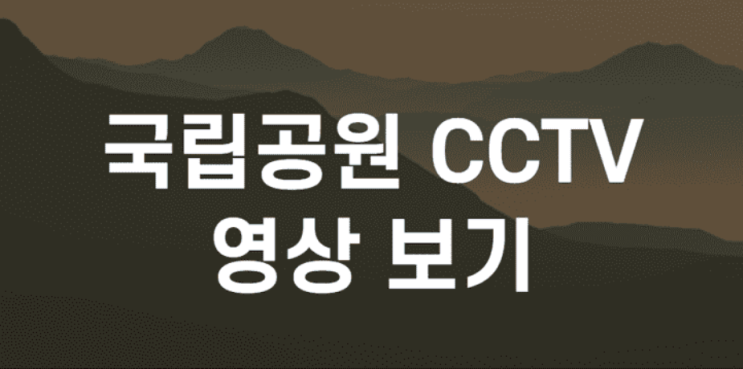  국립공원 CCTV 실시간 영상 보는 방법