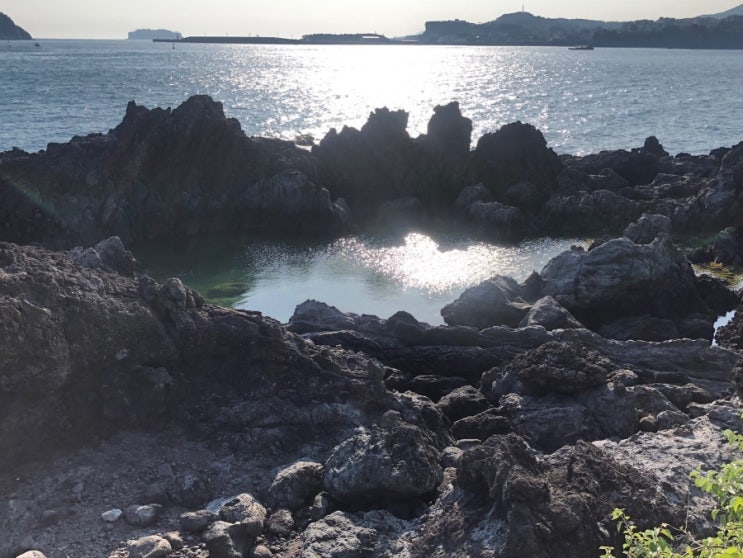  [제주도 가볼만한 곳/서귀포] 2박3일ㆍ자유여행ㆍ렌트카ㆍ천지연폭포ㆍ소천지ㆍ서귀포매일올레시장ㆍ호텔윈스토리 (1)