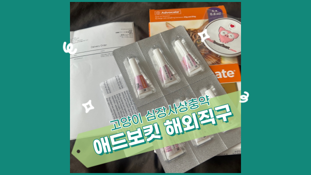  고양이 심장 사상충 약 애드보킷, 펫버킷에서 해외 직구로 저렴하게 구입하기 (할인코드)