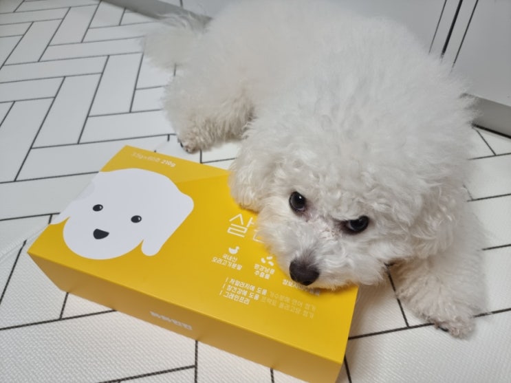  강아지다이어트 간식 사사견견 살좀뺄개 2주 감량 후기
