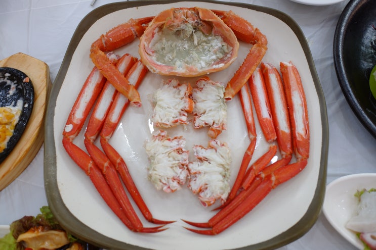  속초 대포항 대게 애견동반식당 어촌회센터