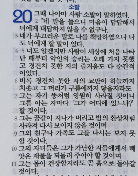 욥의 시련(욥기) 20장