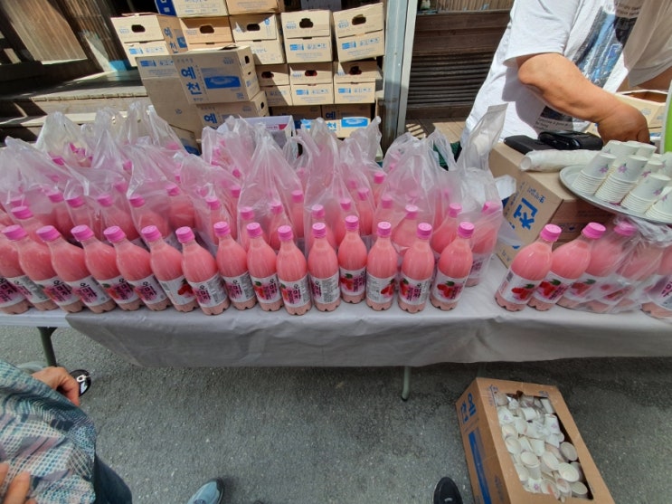  단양 구경시장 오미자막걸리,  시음