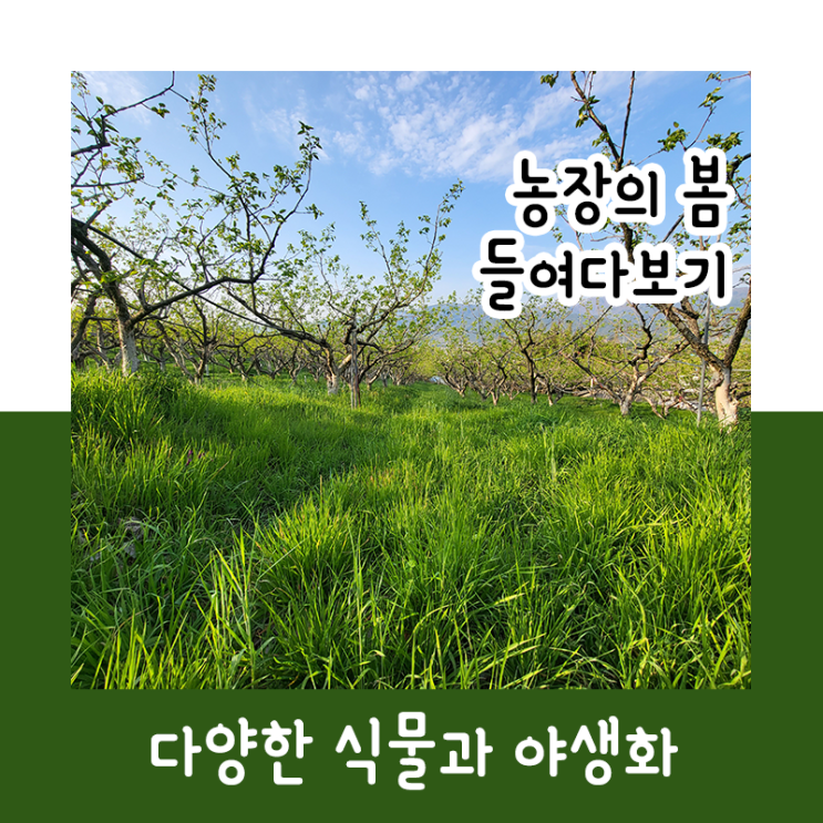  농장의 봄을 자세히 들여다보자!_220418