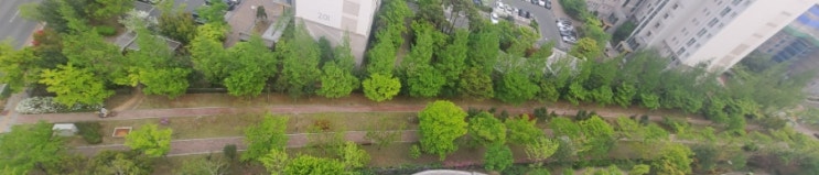  봄바람 휘날리며~조카보러 나주로!