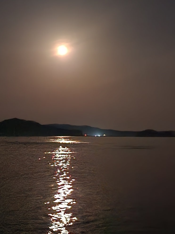  2022년 첫 캠/낚 서산 "벌천포"을 가다.