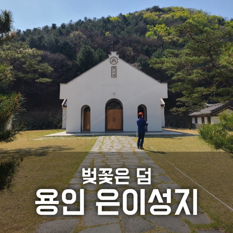 용인 은이성지 벚꽃 명소 한적해서 좋아 용인 은이성지 벚꽃 명소 한적해서 좋아