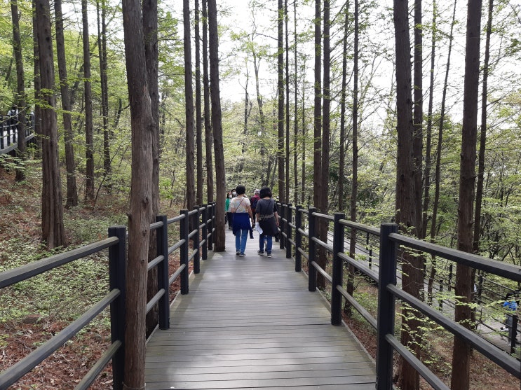  안산자락길 걷기