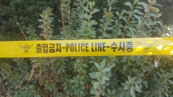 보험금 노리고 동거녀子 살해…14년 전 여친은 현재까지 실종