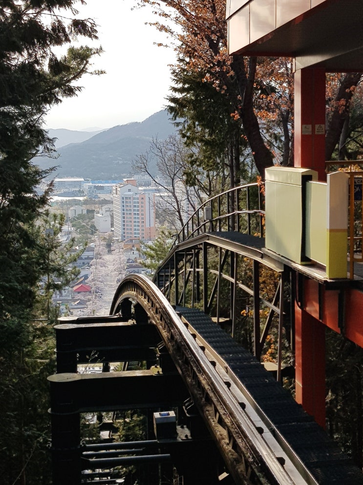 진해 벚꽃 데이트 코스 제황산공원 모노레일 진해박물관 - 진해근대사거리 진해우체국 원해루 진해 벚꽃 데이트 코스 제황산공원 모노레일 진해박물관 - 진해근대사거리 진해우체국 원해루