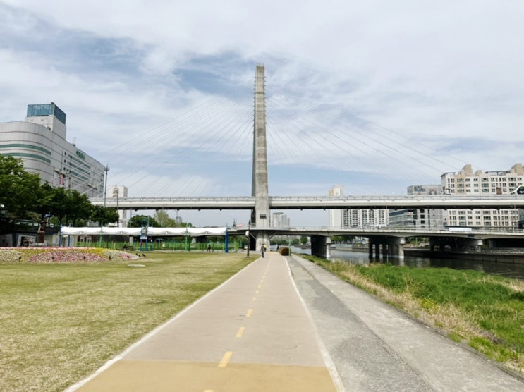  2022대구국제마라톤 언텍트 10km