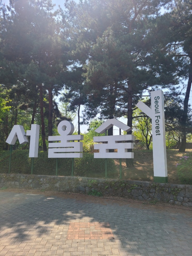  서울숲 꽃구경 소풍가기 좋은 피크닉장소
