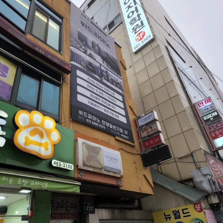  성인들이 편하게 즐기는 위드피아노 안양일번가점 안양피아노학원
