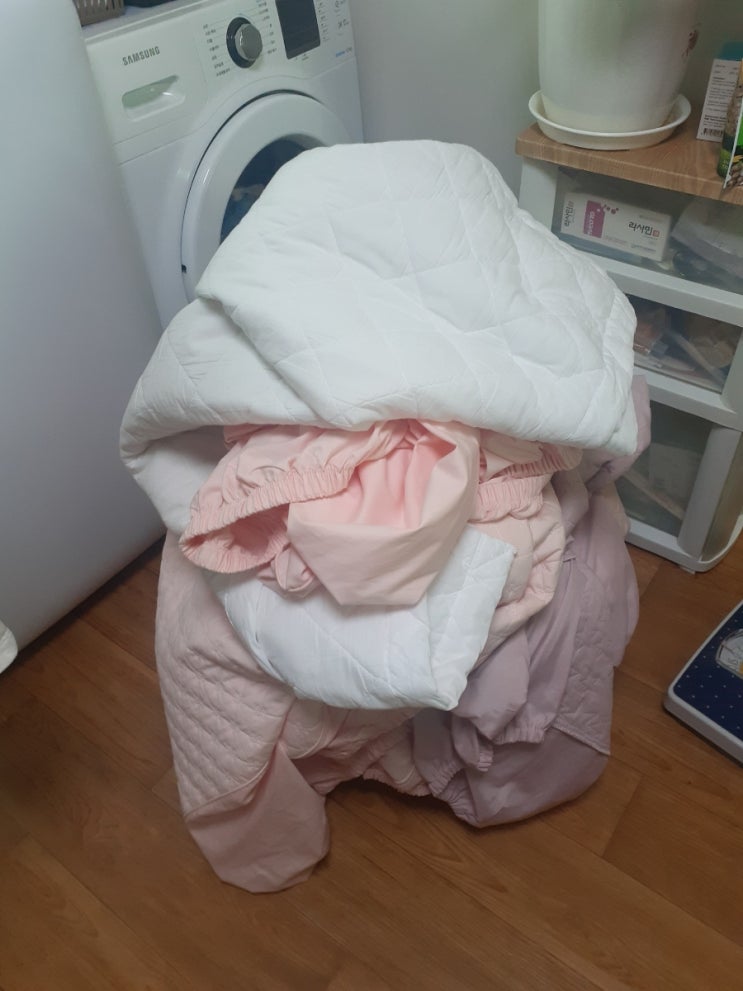  매트리스 커버교체, 보일러 조절기교체,킹스베리,풀뽑기,쭈꾸미 볶음