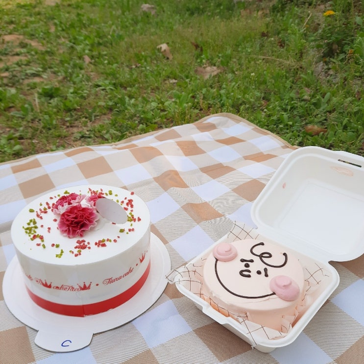 부평 케이크 맛집 저렴하고 맛있는 '티아라케이크'