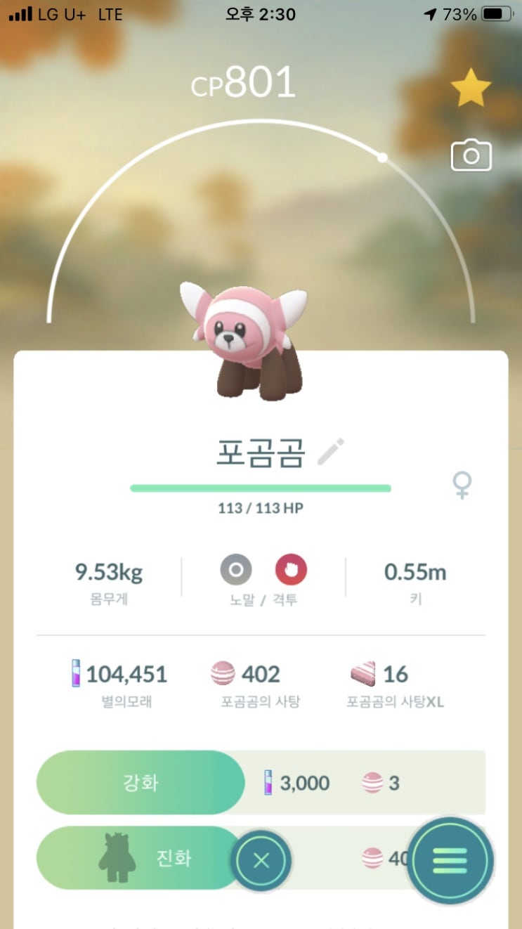  포곰곰, 이븐곰