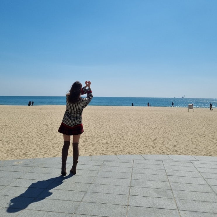  부산 해운대 해수욕장 금수복국 본점 복지리로 유명한 해운대 해장국 맛집
