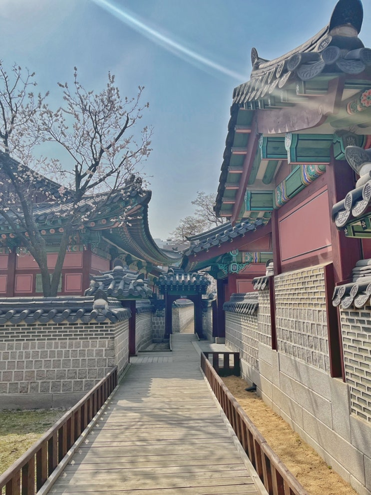  창경궁 :: 서울 벚꽃 명소 추천입니다.