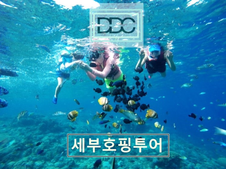  세부자유여행 필리핀세부여행에서 자유여행객들이 선호하는 가격대비 좋은 세부 리조트 및 호텔은 - 세부골프투어/필리핀골프여행/세부풀빌라