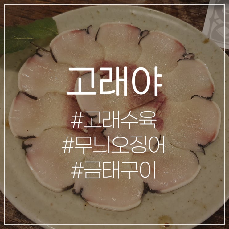 청룡노포동 고래야(夜) 고래수육&무늬오징어&금태구이 내돈내산 2번째 방문후기 솔직리뷰