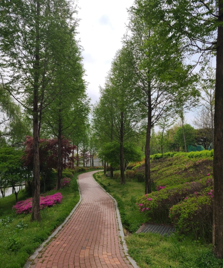 김제 가볼만한 곳, 김제 시민문화 체육공원(김제 시민문화 공원) 풍경(4월 23일)