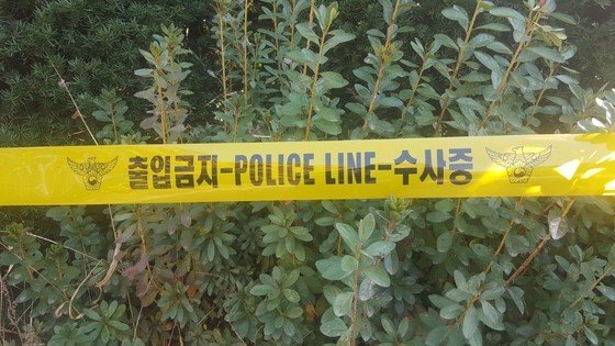 보험금 노리고 동거녀子 살해…14년 전 여친은 현재까지 실종 보험금 노리고 동거녀子 살해…14년 전 여친은 현재까지 실종