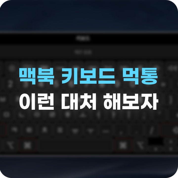  맥북 키보드 먹통, 가상 키보드로 대처해 보자