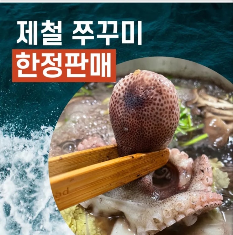  푸마담 국내산 알 쭈꾸미 생물 알배기 활 산지직송