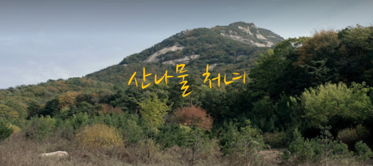  02. 산나물 처녀 (Ladies Of The Forest, 2016)