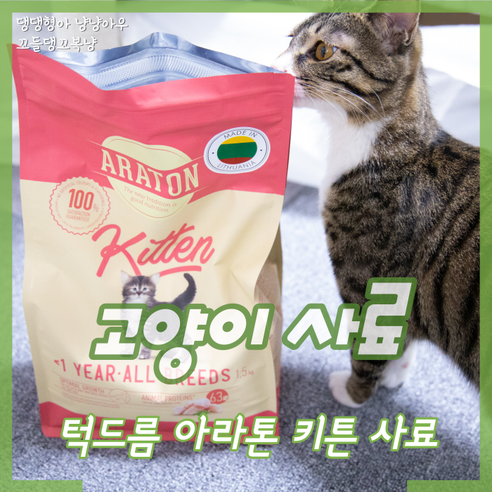  고양이 턱드름 사료, 가루가 적은 아라톤 키튼사료