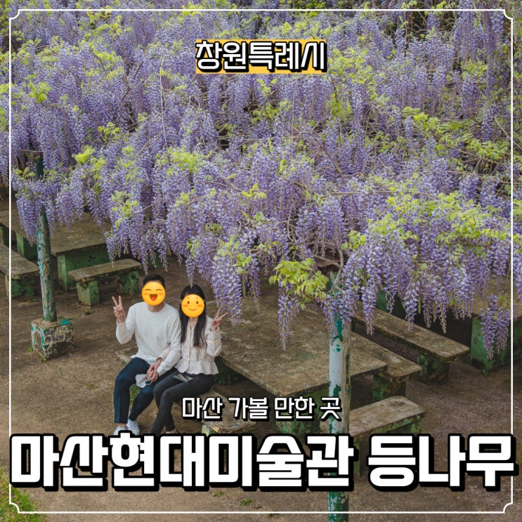  [창원특례시] 마산현대미술관 등나무 보러 가요~(입장료 있음)