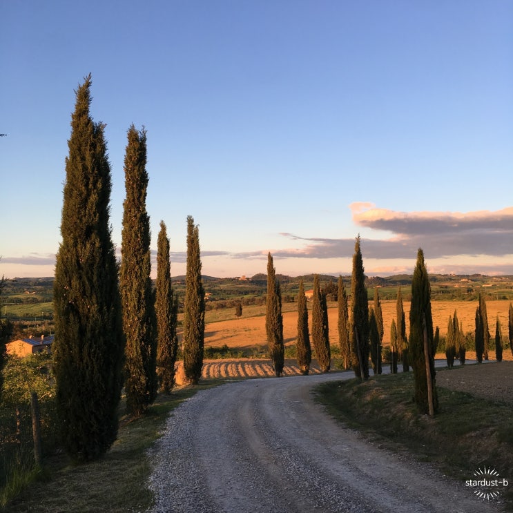   이탈리아 토스카나, 피엔자(Pienza) :: 아그리투리스모 일 마키오네(Agriturismo Il Macchione) 후기