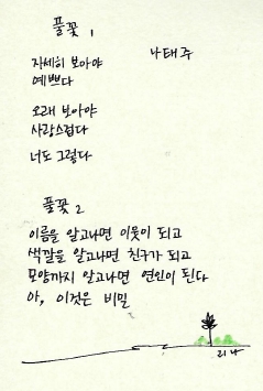 나태주 풀꽃, 다이소 만년필 손글씨, 꽃을 보듯 너를 본다