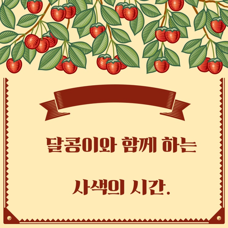  [마음챙김:사색의 시간]-시로 마음을 챙겨주세요!여러분의 의견을 들려주세요!