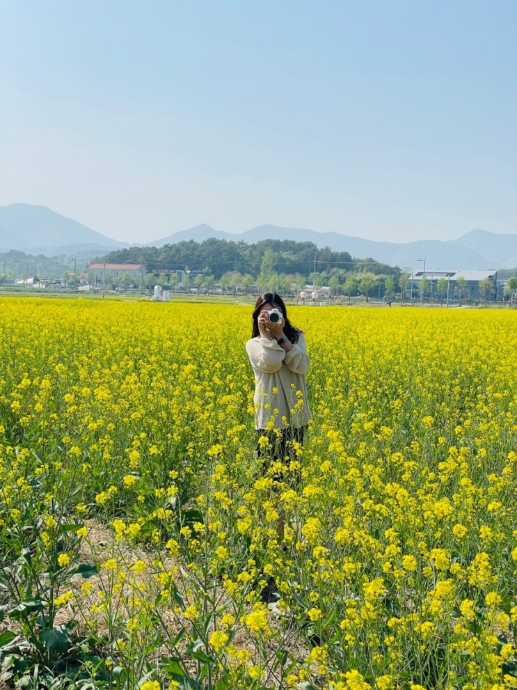  경남 고성 가볼만한 곳 :유채꽃밭 안뜰 봄꽃경관단지