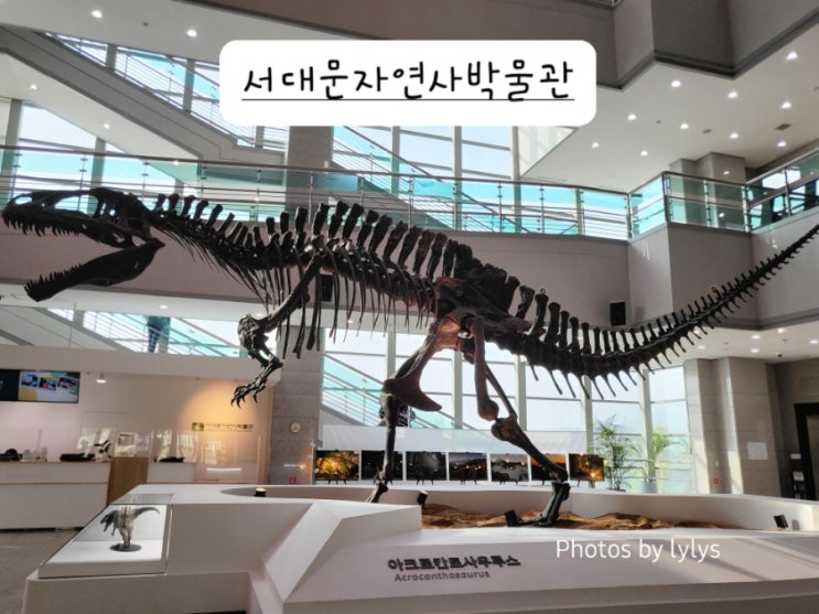 서대문자연사박물관 초4과학 지층과화석