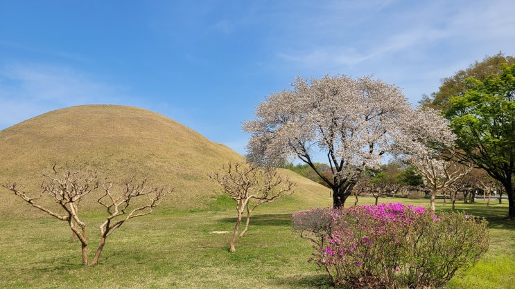 경주 가볼만한곳 대릉원, 첨성대, 경주 여행코스 추천