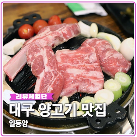 일등양 대구 양고기 북해도식 맛있네요 일등양 대구 양고기 북해도식 맛있네요