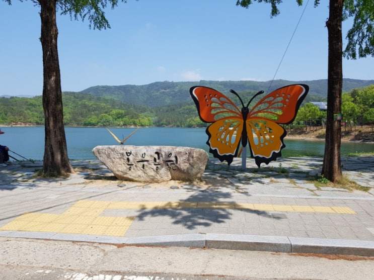  <대구 동구> 봉무공원 봉무나비생태원 나들이~ 나비보러 Go Go!!