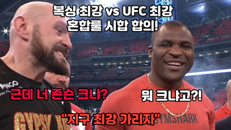 복싱 챔프 타이슨 퓨리 VS UFC 챔프 은가누, 혼합룰 격투 시합 합의(딜리언 화이트전 경기 후)