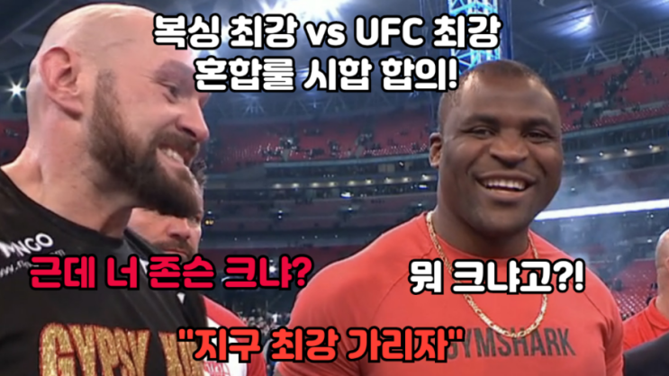 복싱 챔프 타이슨 퓨리 VS UFC 챔프 은가누, 혼합룰 격투 시합 합의(딜리언 화이트전 경기 후) 복싱 챔프 타이슨 퓨리 VS UFC 챔프 은가누, 혼합룰 격투 시합 합의(딜리언 화이트전 경기 후)